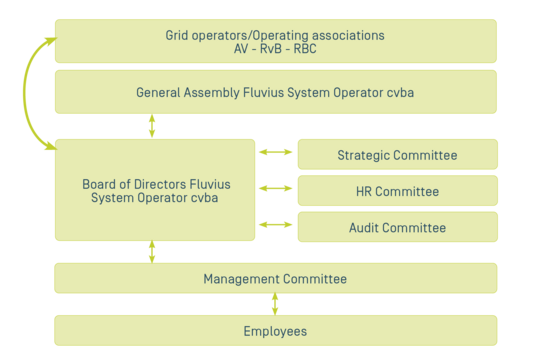 Overview governing bodies Fluvius