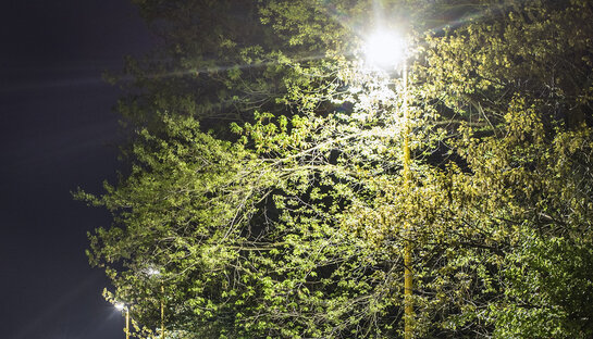 Straatlamp van Fluvius