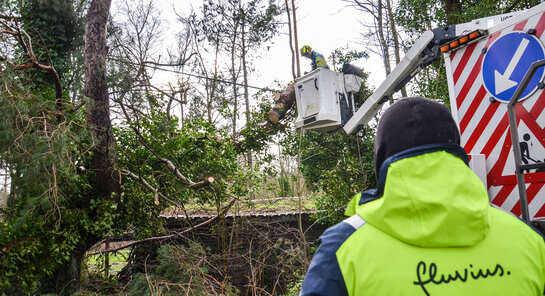 Zorg voor milieu Techniekers van Fluvius kappen bomen na stormschade