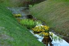 Un oued est une pente artificielle dans laquelle, en cas de fortes pluies, les eaux de pluie peuvent s'infiltrer dans le sol ou être détournées vers des cours d'eau naturels. Un oued est une pente artificielle dans laquelle l'eau de pluie peut s'infiltrer dans le sol ou être évacuée de manière différée.