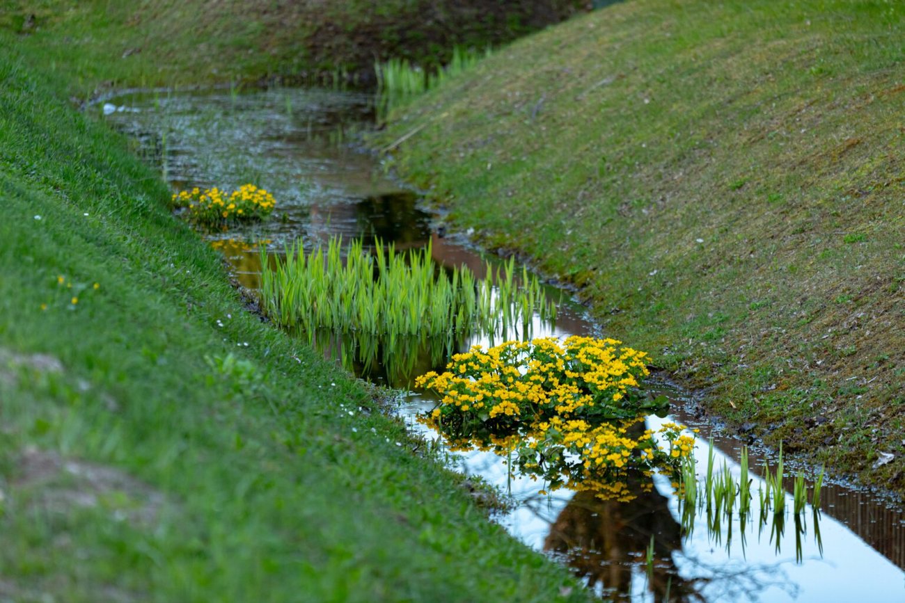 Een wadi is een kunstmatige glooiing waarin, bij hevige regen, het regenwater kan infiltreren in de bodem of vertraagd kan worden afgevoerd naar natuurlijke waterlopen. Een wadi is een kunstmatige glooiing waarin het regenwater kan infiltreren in de bodem of vertraagd kan worden afgevoerd